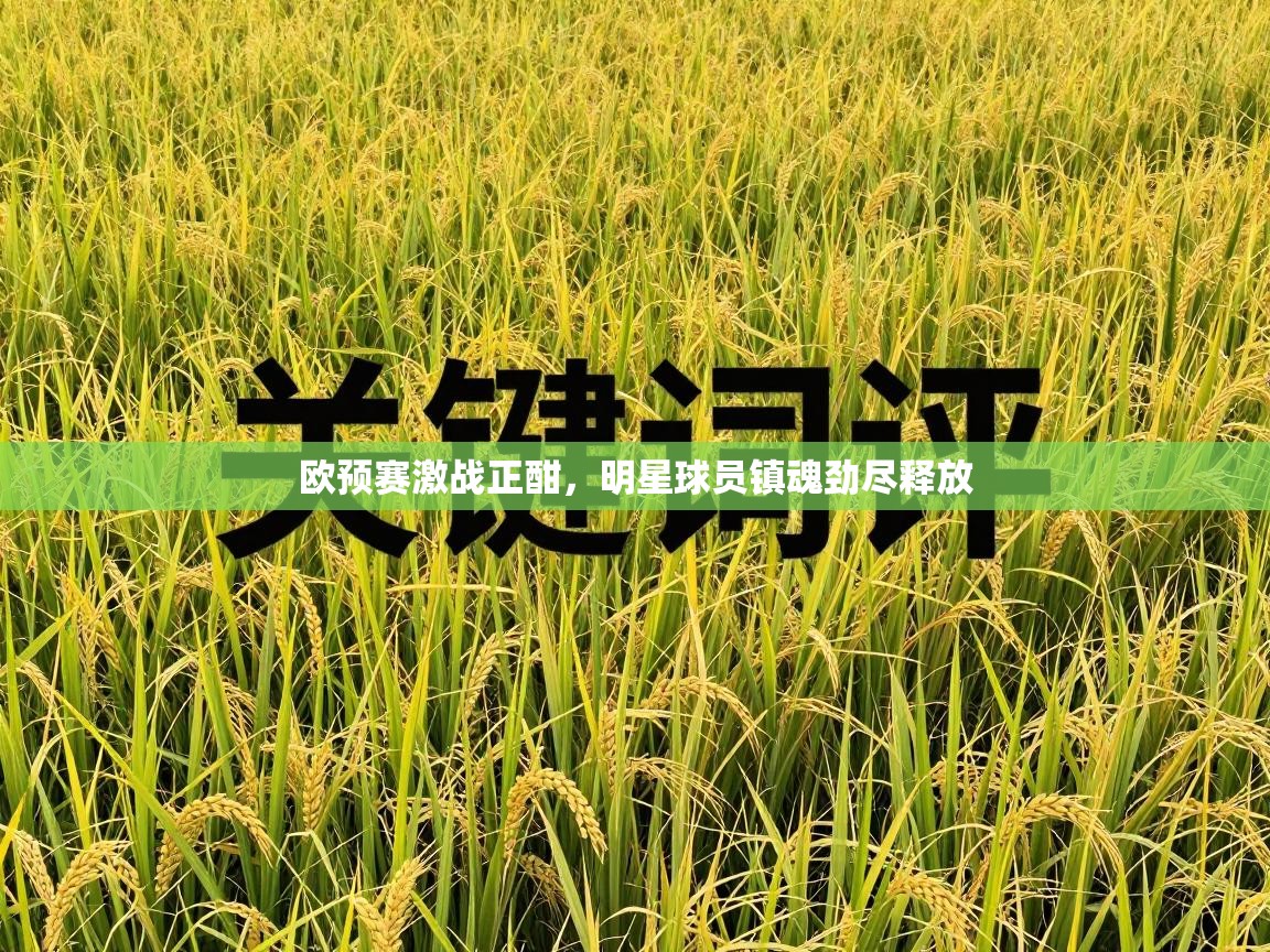 欧预赛激战正酣，明星球员镇魂劲尽释放  第2张
