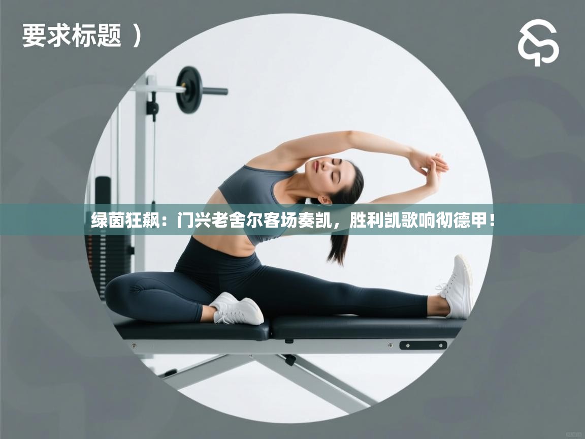 绿茵狂飙：门兴老舍尔客场奏凯，胜利凯歌响彻德甲！  第2张